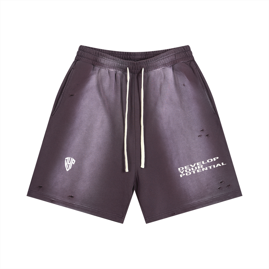 Sun Fade Distressed Shorts